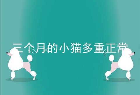 三个月的小猫多重正常
