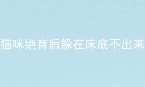 猫咪绝育后躲在床底不出来