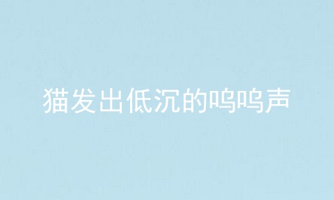 猫发出低沉的呜呜声