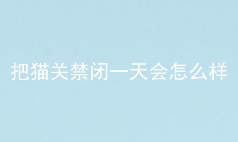 把猫关禁闭一天会怎么样