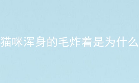 猫咪浑身的毛炸着是为什么