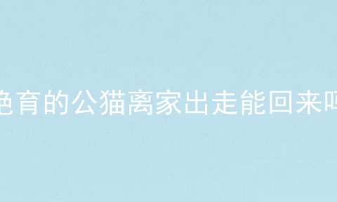 绝育的公猫离家出走能回来吗