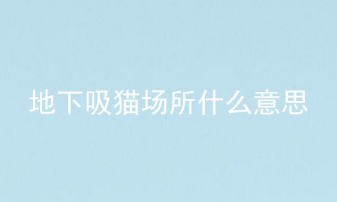 地下吸猫场所什么意思