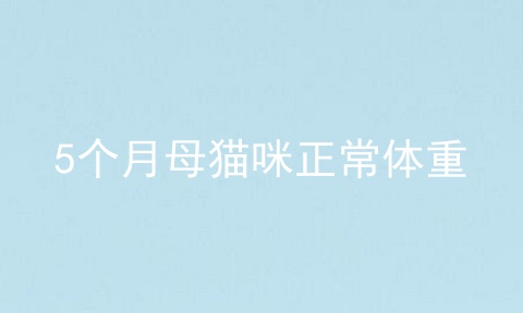 5个月母猫咪正常体重