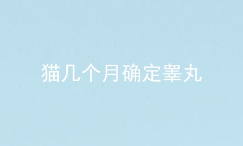 猫几个月确定睾丸