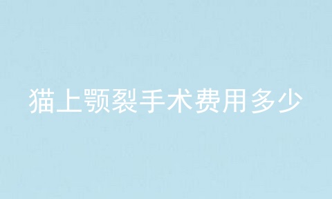 猫上颚裂手术费用多少