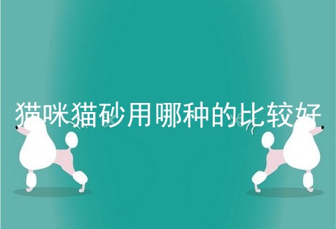 猫咪猫砂用哪种的比较好