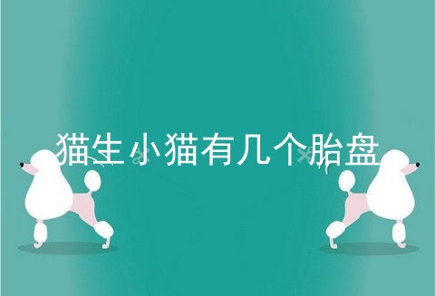猫生小猫有几个胎盘