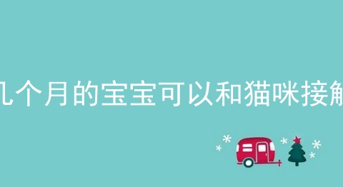 几个月的宝宝可以和猫咪接触