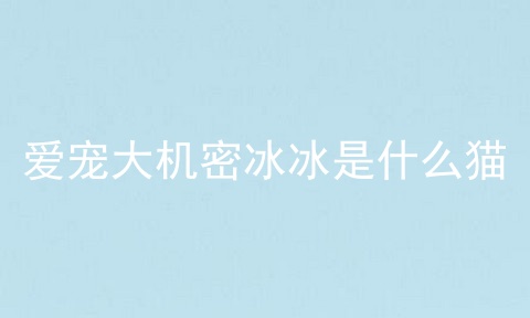 爱宠大机密冰冰是什么猫