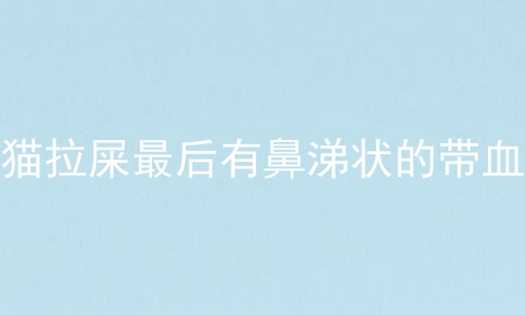 猫拉屎最后有鼻涕状的带血