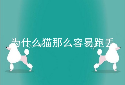 为什么猫那么容易跑丢