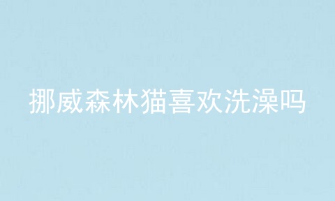挪威森林猫喜欢洗澡吗