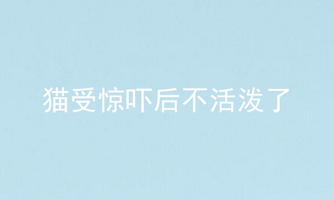 猫受惊吓后不活泼了