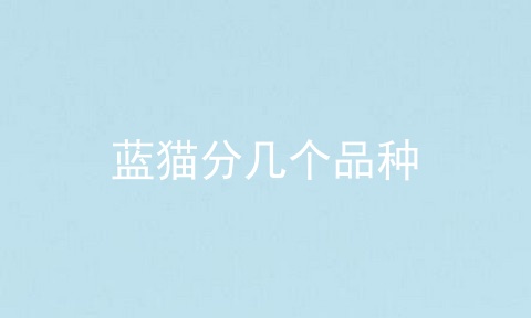 蓝猫分几个品种