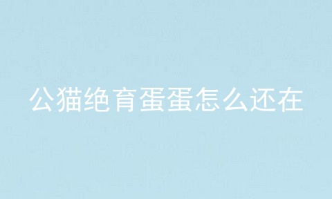 公猫绝育蛋蛋怎么还在