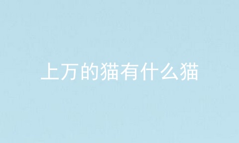 上万的猫有什么猫