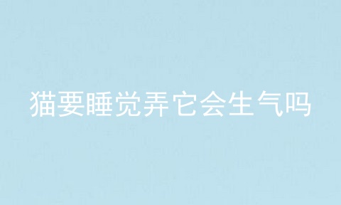 猫要睡觉弄它会生气吗