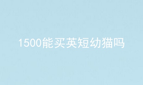 1500能买<a href=/cat/13.html target=_blank class=infotextkey>英短</a>幼猫吗