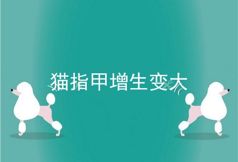 猫指甲增生变大