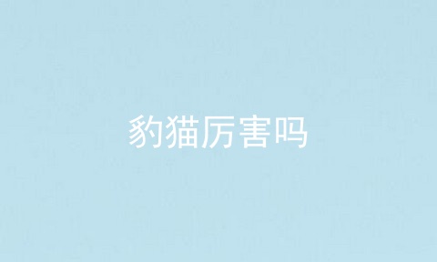 豹猫厉害吗