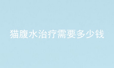 猫腹水治疗需要多少钱