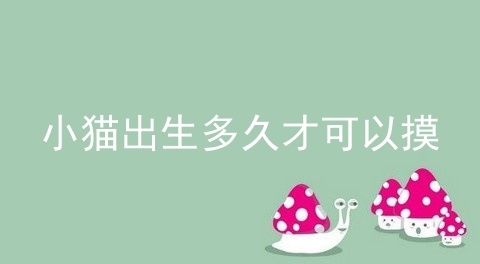 小猫出生多久才可以摸