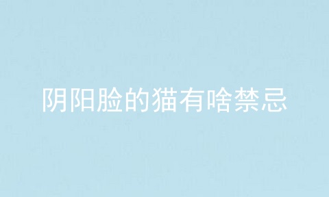 阴阳脸的猫有啥禁忌