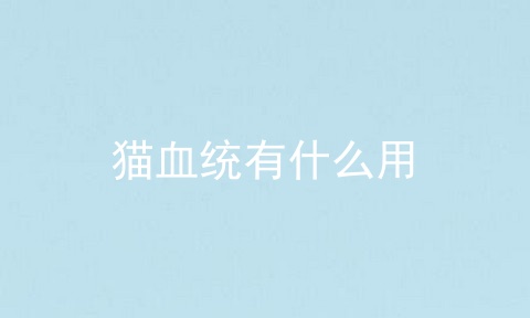猫血统有什么用