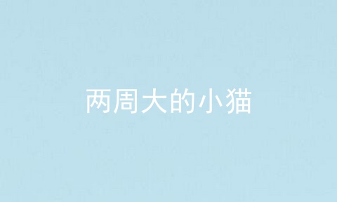 两周大的小猫