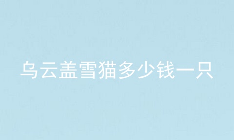乌云盖雪猫多少钱一只
