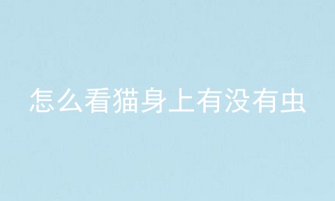 怎么看猫身上有没有虫