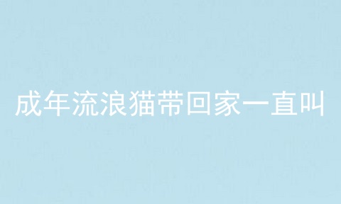成年流浪猫带回家一直叫