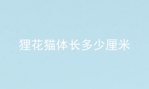 狸花猫体长多少厘米