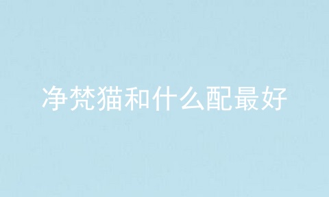 净梵猫和什么配最好