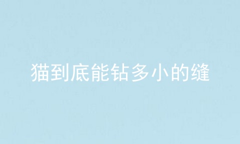 猫到底能钻多小的缝