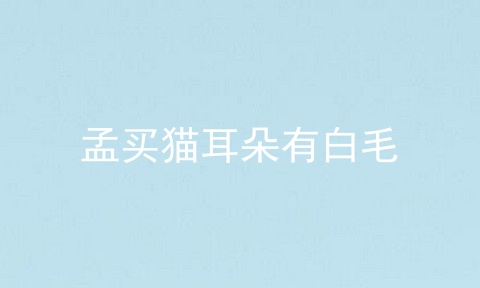 孟买猫耳朵有白毛