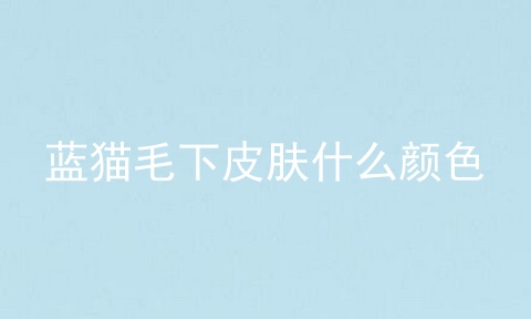 蓝猫毛下皮肤什么颜色