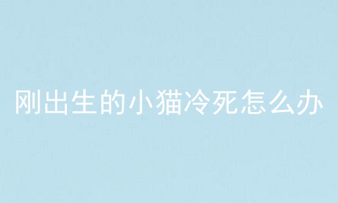 刚出生的小猫冷死怎么办