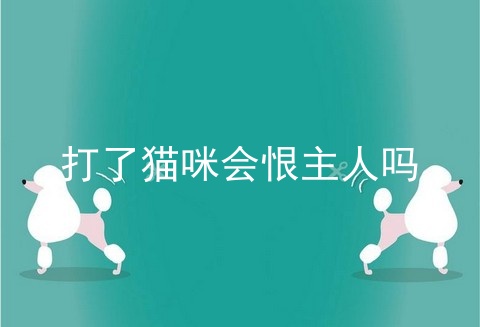 打了猫咪会恨主人吗