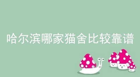哈尔滨哪家猫舍比较靠谱