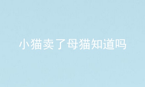小猫卖了母猫知道吗