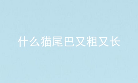 什么猫尾巴又粗又长