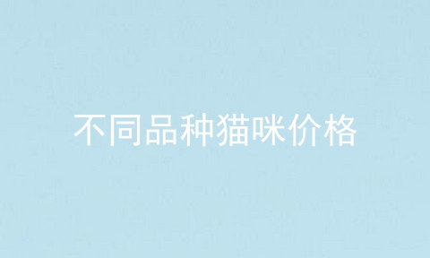 不同品种猫咪价格