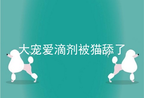 大宠爱滴剂被猫舔了