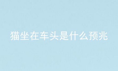 猫坐在车头是什么预兆