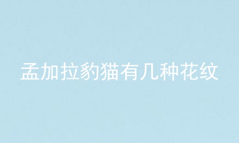 孟加拉豹猫有几种花纹