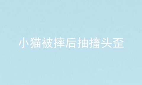 小猫被摔后抽搐头歪