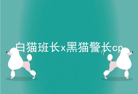 白猫班长x黑猫警长cp