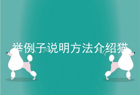 举例子说明方法介绍猫